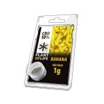 Hash Solide CBD 10% Banane 1g