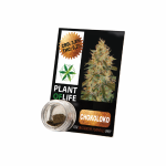 CBD Hash Solide 3.8% Chocoloco 1g