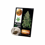 CBD Hash Solide 3.8% Critical+ 1g