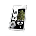 Jelly Hash CBD 22% Amnesia Haze 1g