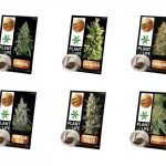 Pack découverte Hash solide CBD 3.8%