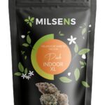 Pack Indoor XL 21g