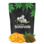 Orange Bud CBD