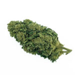 Vanilla Kush