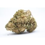 Girl Scout Cookie