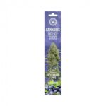 Encens Dry Cannabis Leaves & Blueberry