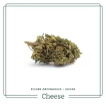 Fleurs de CBD Cheese