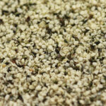 Graines de chanvre décortiquées