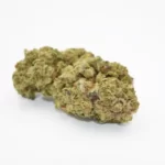 Bubble Gum indoor