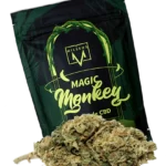 Monkey Magic
