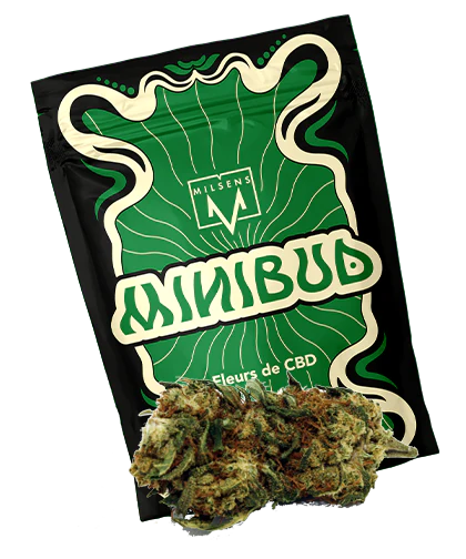 Fleurs de CBD mini Buds | Milsens | CBD Marketplace
