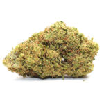 Super Lemon Haze CBD Hydroponique