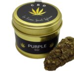 Fleur de CBD Bio Purple hydroponie - 5g