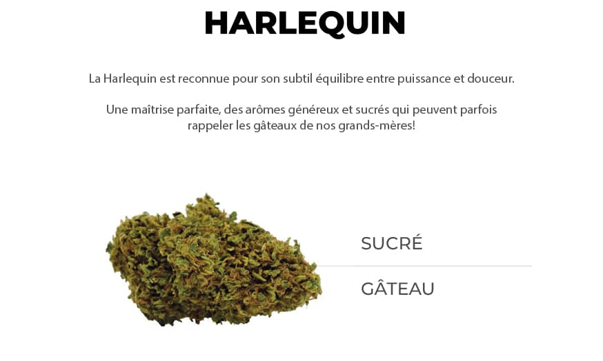 Fleur de cbd Harlequin promo | Kieto | CBD Marketplace