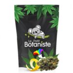 Fleur d'Amnesia H4CBD 30%