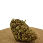 Cheese Cake CBD Greenhouse
