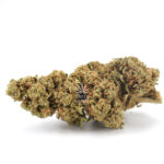 Dream Berry CBD Greenhouse